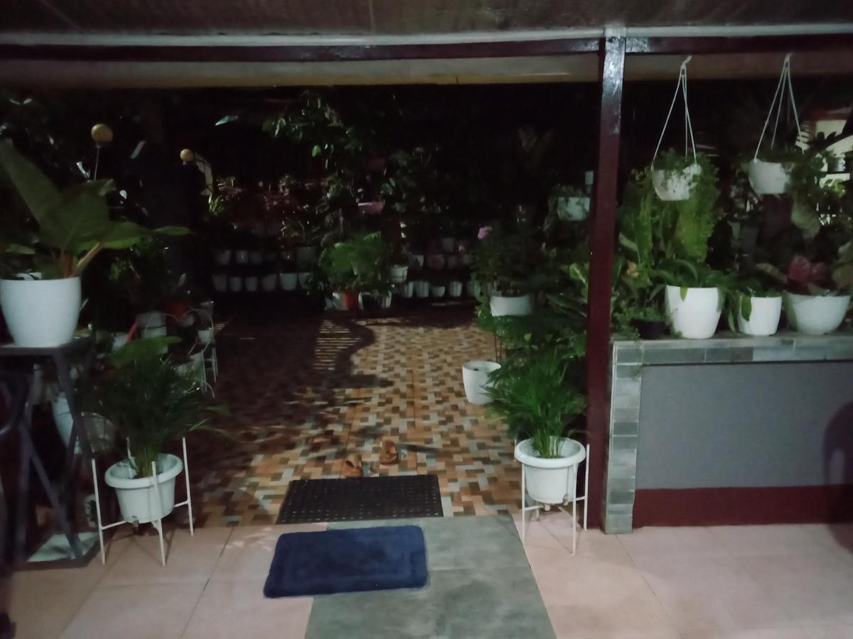 Dalinda'S Homestay Пуэрто-Принцеса Экстерьер фото