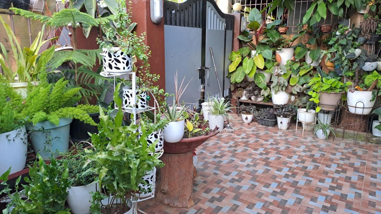 Dalinda'S Homestay Пуэрто-Принцеса Экстерьер фото